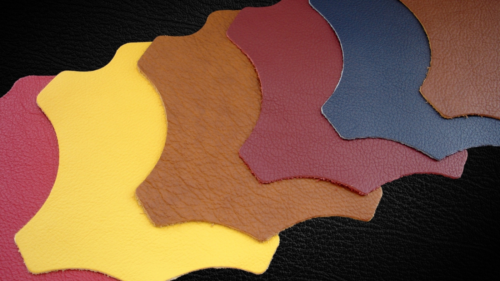 Pu-Vs-Leather